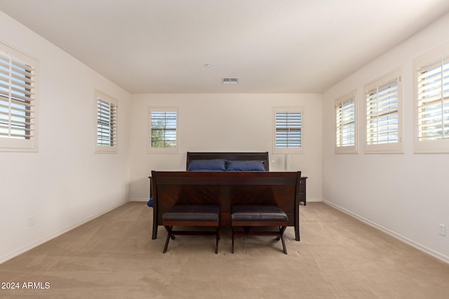 carpeted bedroom with multiple windows