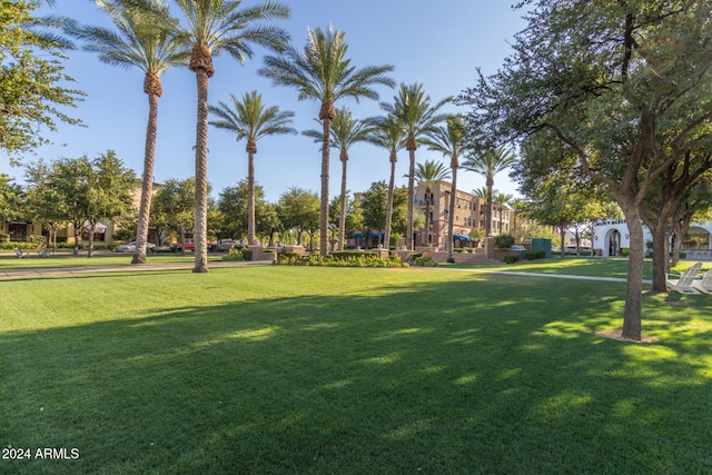 view of community featuring a yard