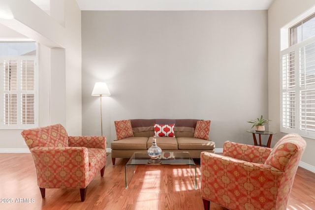 living room featuring light hardwood / wood-style floors