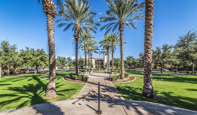 view of community with a yard