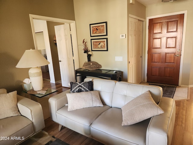 living room featuring hardwood / wood-style flooring