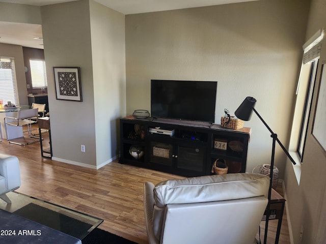 living room featuring hardwood / wood-style flooring