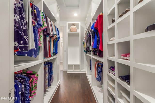 spacious closet featuring dark hardwood / wood-style flooring