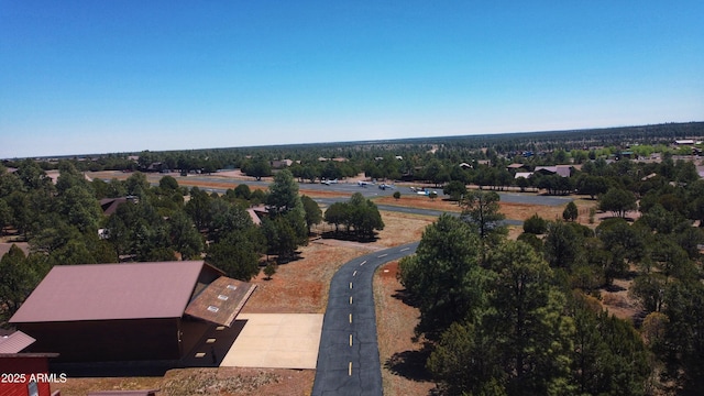 2273 Lindbergh Rd, Overgaard, AZ 85933 - drone / aerial view