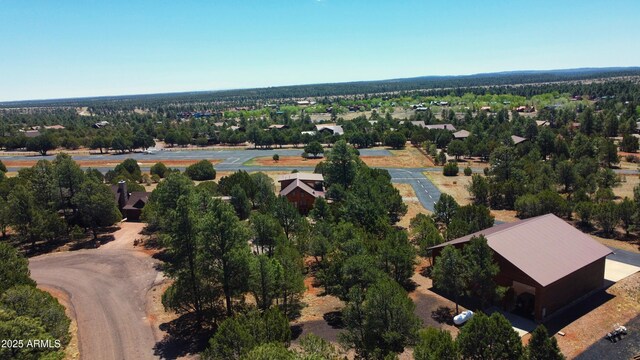 2273 Lindbergh Rd, Overgaard, AZ 85933 - aerial overview of property's location