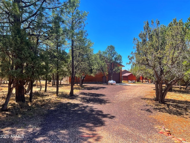 2273 Lindbergh Rd, Overgaard, AZ 85933 - view of dirt / gravel driveway