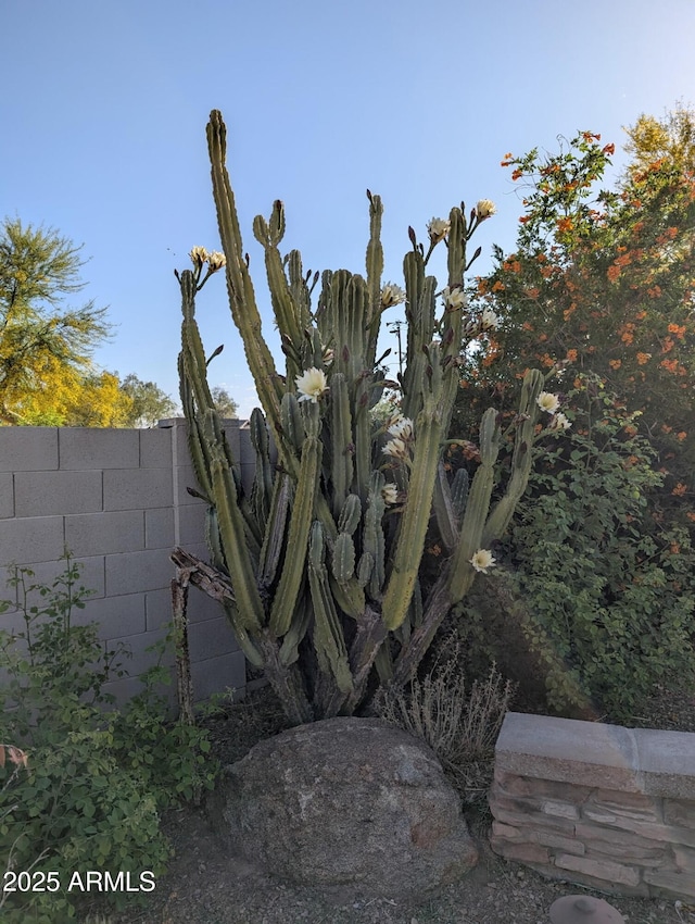4038 E Wrangler Ct, Gilbert, AZ 85297 - exterior view