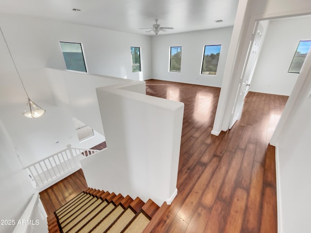 staircase with ceiling fan and hardwood / wood-style floors