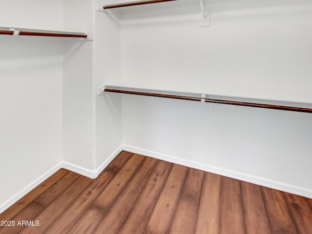 walk in closet featuring wood-type flooring