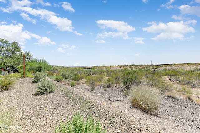 view of local wilderness