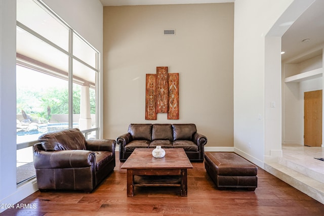 living room featuring a towering ceiling, hardwood / wood-style flooring, and a healthy amount of sunlight