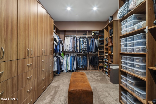 spacious closet featuring light colored carpet