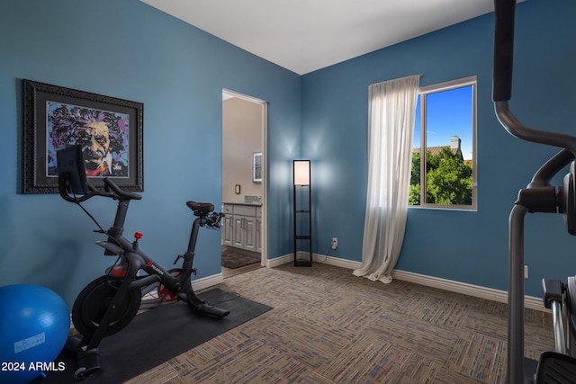 exercise area featuring carpet floors