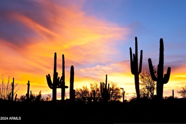 view of nature at dusk