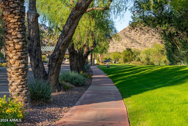 view of community with a lawn and a mountain view