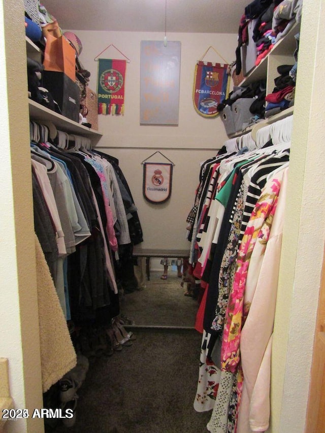 walk in closet with carpet