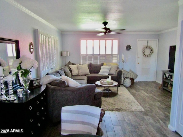 living room with crown molding, ceiling fan, and hardwood / wood-style flooring