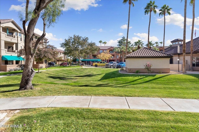 view of community featuring a lawn