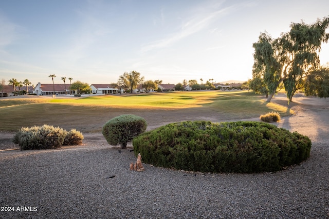 view of community with a yard