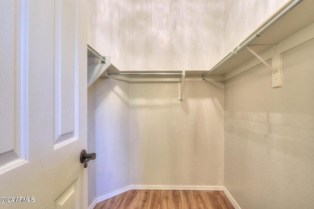 spacious closet featuring wood finished floors