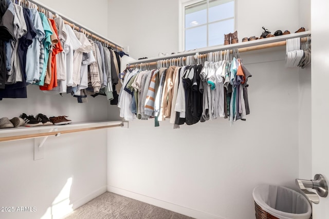 walk in closet with carpet floors