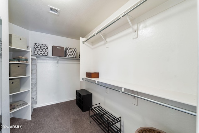 walk in closet with carpet floors