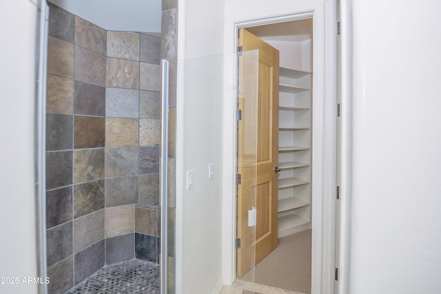 bathroom featuring a shower stall