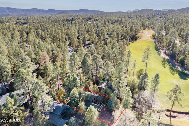 birds eye view of property featuring a forest view and a mountain view