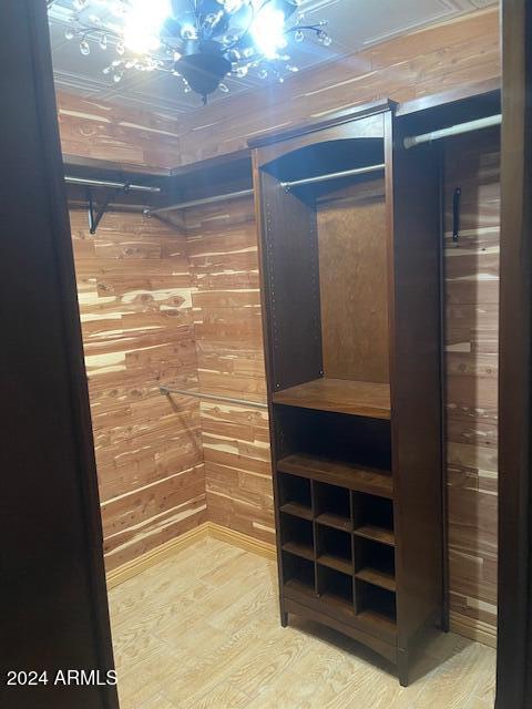 spacious closet featuring wood-type flooring