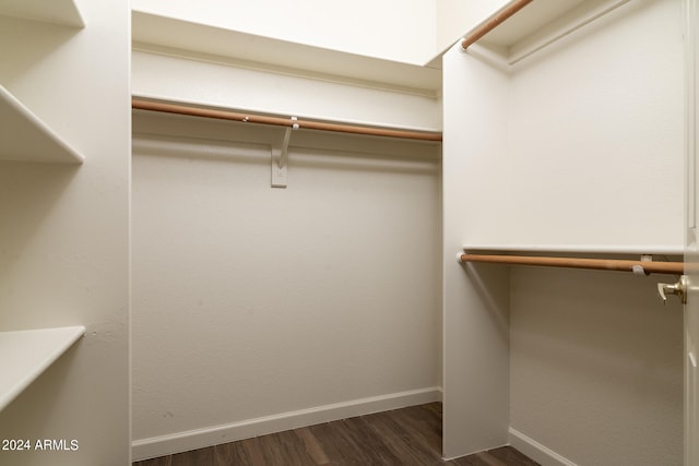 walk in closet featuring dark hardwood / wood-style flooring