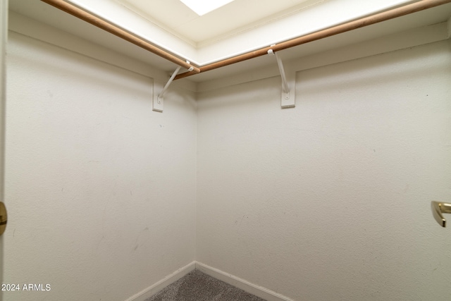 spacious closet with carpet floors