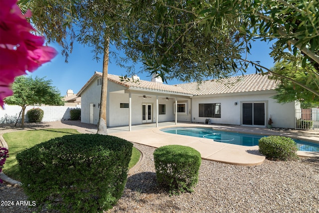 view of pool featuring a patio area and ceiling fan