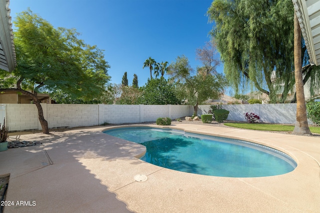 view of swimming pool with a patio