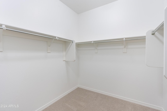 walk in closet featuring carpet flooring