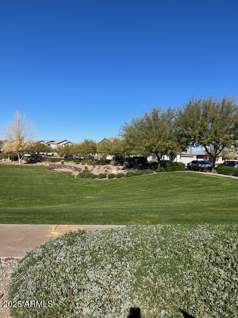 view of property's community featuring a yard