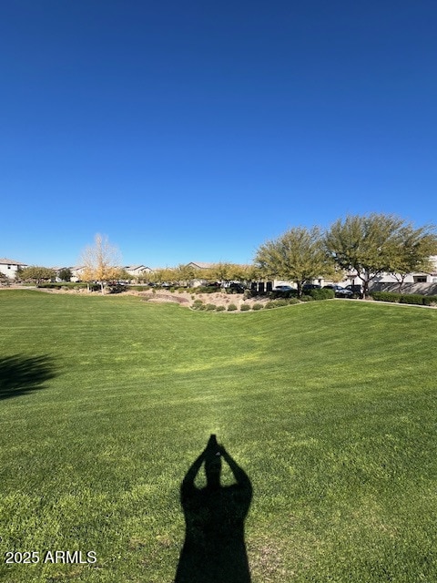 view of property's community featuring a lawn