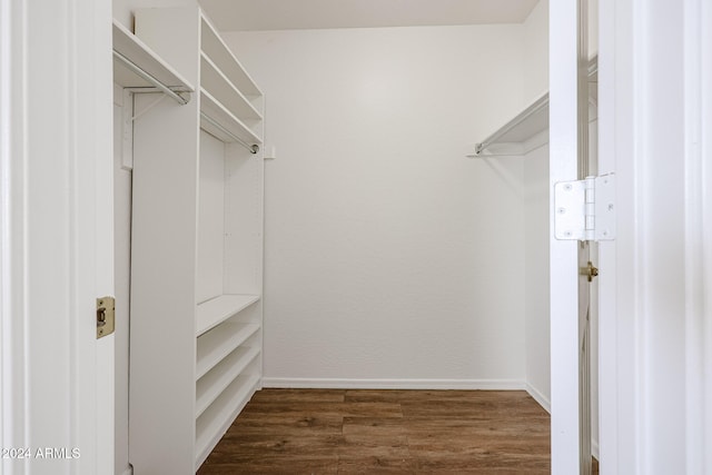 spacious closet with dark wood-type flooring