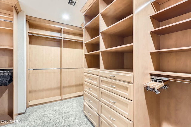 spacious closet with light colored carpet