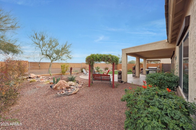 view of yard featuring a patio