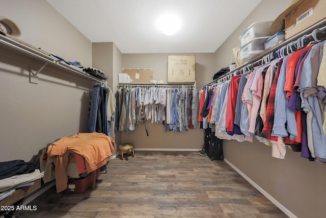 walk in closet with dark hardwood / wood-style flooring