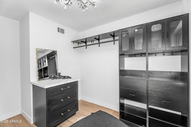 14635 N 37th Pl, Phoenix, AZ 85032 - spacious closet with light wood-style flooring