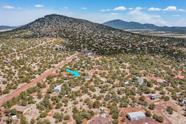 5766 N Juliane Dr, Williams, AZ 86046 - bird's eye view of a mountainous background