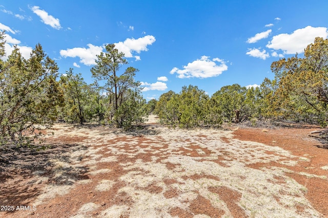 5766 N Juliane Dr, Williams, AZ 86046 - view of local wilderness