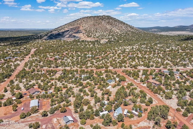5766 N Juliane Dr, Williams, AZ 86046 - view of property location with mountains