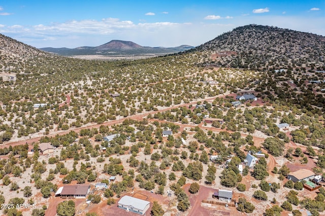 5766 N Juliane Dr, Williams, AZ 86046 - aerial view of property and surrounding area with a mountain backdrop