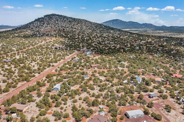 5766 N Juliane Dr, Williams, AZ 86046 - drone / aerial view of a mountainous background