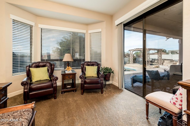 living area featuring baseboards and carpet flooring