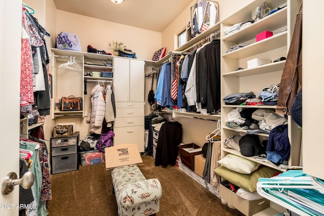 walk in closet featuring carpet