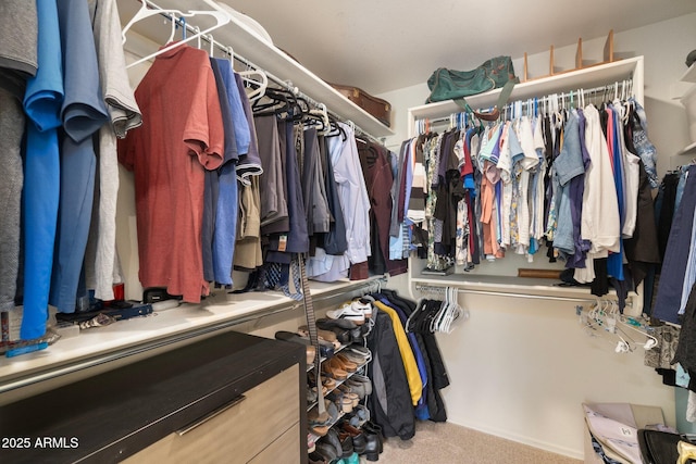 spacious closet featuring carpet flooring