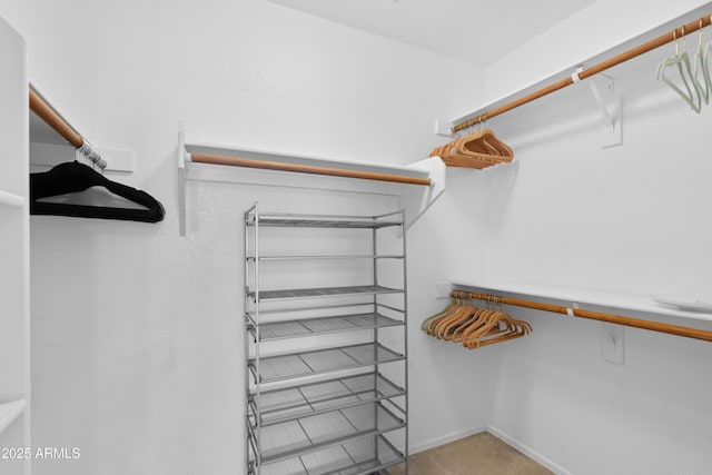 walk in closet with carpet flooring